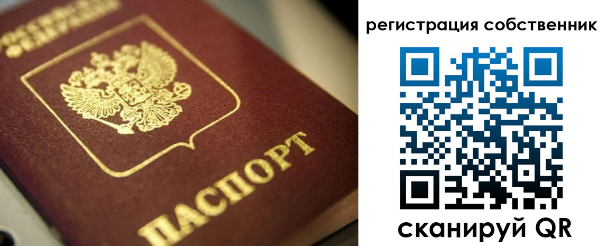прописка в Тихвине